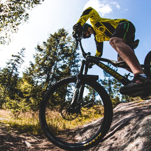 tobias-bjerknes-pu40LpUjv5I-unsplash